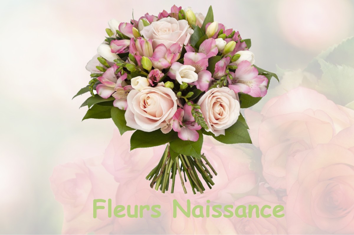 fleurs naissance SAINT-CANNAT